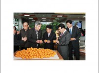 감귤시식회
