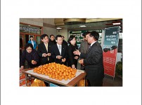 감귤시식회